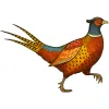 The Pheasant