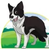 5 Star Pet Service