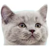 Paradise Pet Sitters