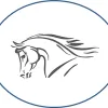 Scott Dunn's Equine Clinic