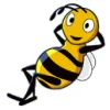 Bees Taxis