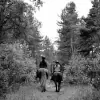 Kinshaldy Riding Stables