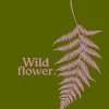 The Wild Flower Shop