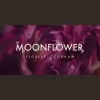 Moonflower Cobham