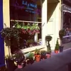 Lily West Florist
