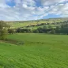 Holiday Cottages in Swaledale