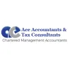 Ace Accountants
