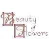 Beauty of Flowers