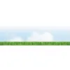 Shropshire Lawn Company