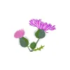 Thistle Du Florist