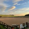 Holmside Hall Equestrian