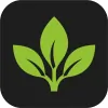 Gardenscape