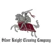 Silver Knight Cleaning