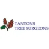 Tanton's Tree Surgeons