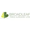 Broad Leaf Tree Surgery
