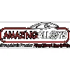 Amazing Alloys