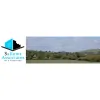 Sallows Associates