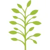Canonbury Clinic of Osteopathy