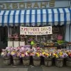 Deborah's The Florist