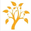 Wirral Tree Co