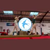 Swallows Gymnastic Club