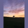 Larkrigg Riding School