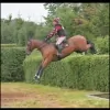 Tunley Equestrian Centre