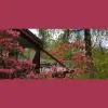 Invergloy Riverside Lodges