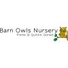 Barn Owls Nursery