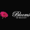 Blooms of Belfast