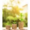 Fundamental Asset Management