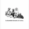 Lochandubh Boarding Kennels