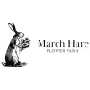March Hare Floral