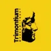 Trimontium Museum