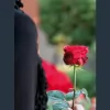Knight & Boys Funeral Service