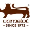Camelot Real Fires