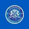 Glenavon FC