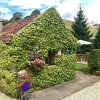 Ann's Cottage Rosedale