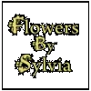 Flowers by Sylvia
