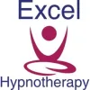 The Excel Practice