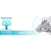 Almond Tree Clinic