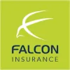 Falcon Insurance
