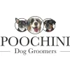 Poochini Dog Groomers
