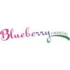 Blueberry Financial