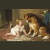 Healthy Option Natural Pet Food Store