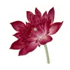 Wimbledon Acupuncture & Herbs