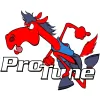 ProTune ECU Remapping