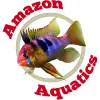 Amazon Aquatics