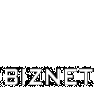 Biznet