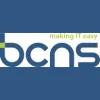 Business Computing & Network Services